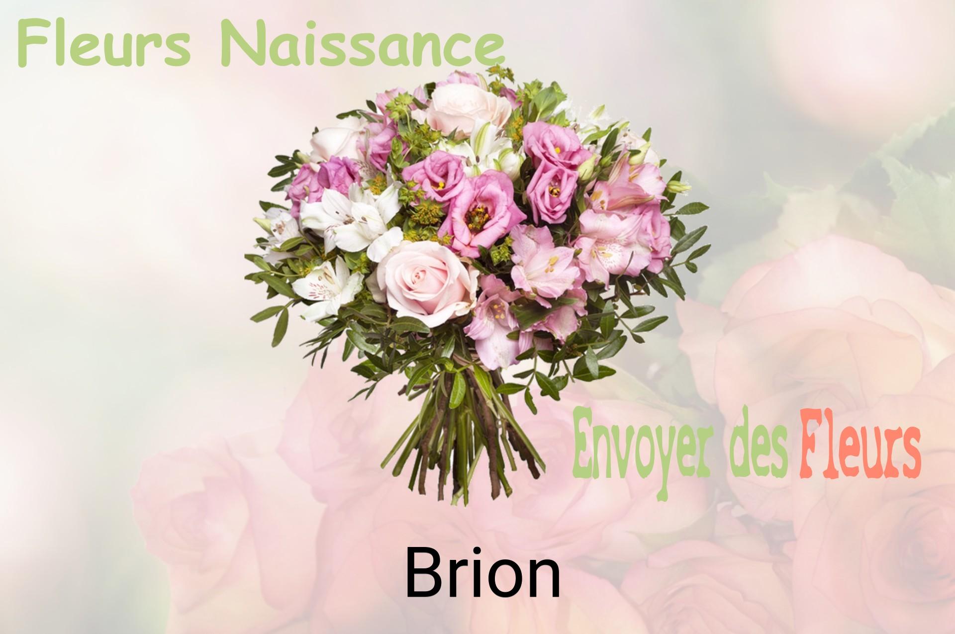 Bouquet de fleurs de naissance livré à Brion