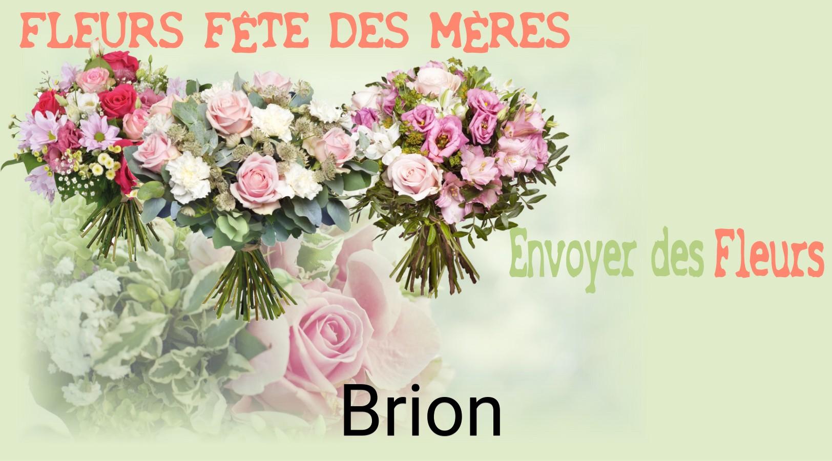 Bouquet de Fête des Mères livré à Brion